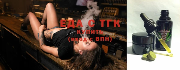 гидра Инта