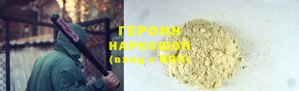 гидра Инта
