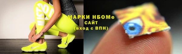 гидра Инта