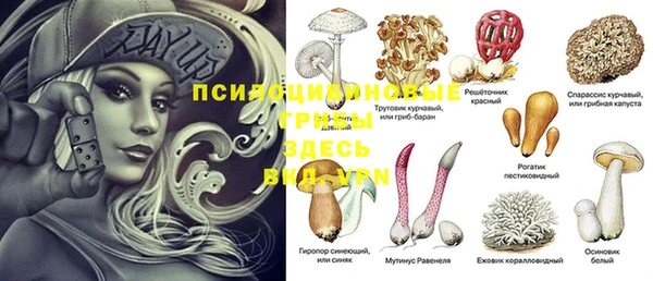 кокс Инсар