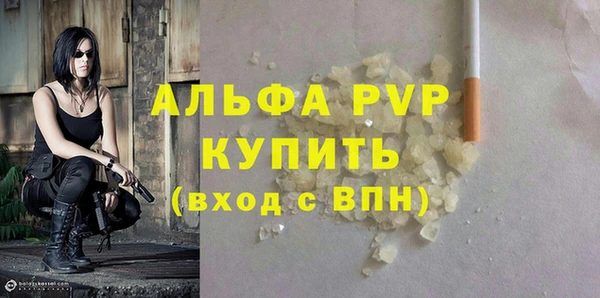 гидра Инта
