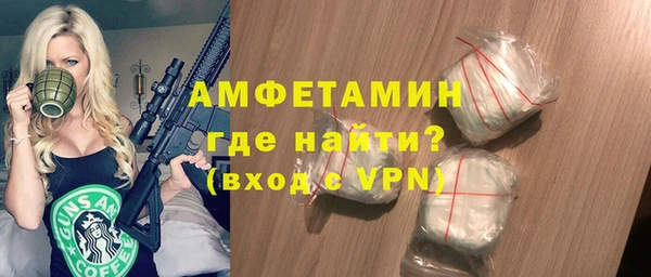 гидра Инта