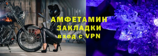 гидра Инта