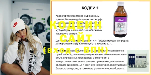 гидра Инта