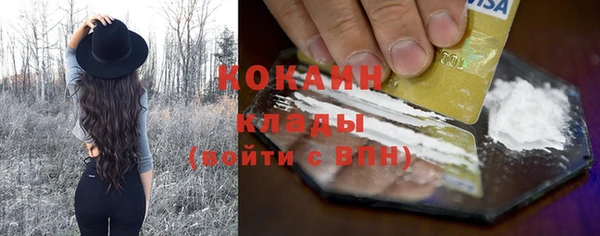 кокс Инсар