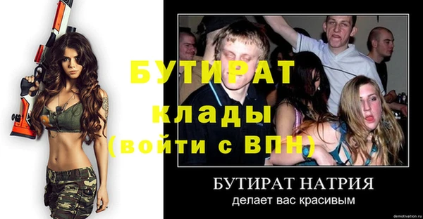 гидра Инта