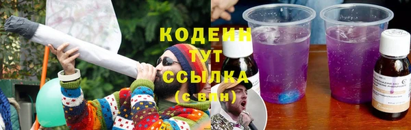 гидра Инта